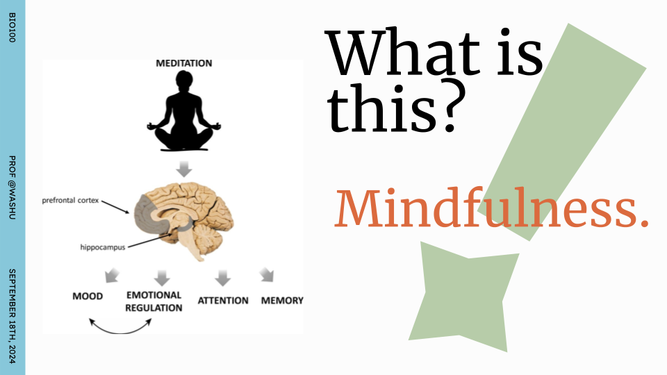 Marketing Mindfulness Week
